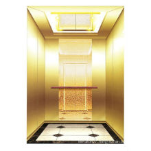 Stainless Steel Cabin Passenger Lift and Elevator (FAST-VVVF)